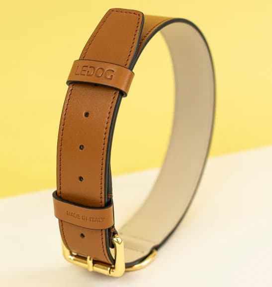 ASTRE PARIS Le Monceau – Collier Chien Cuir Cognac