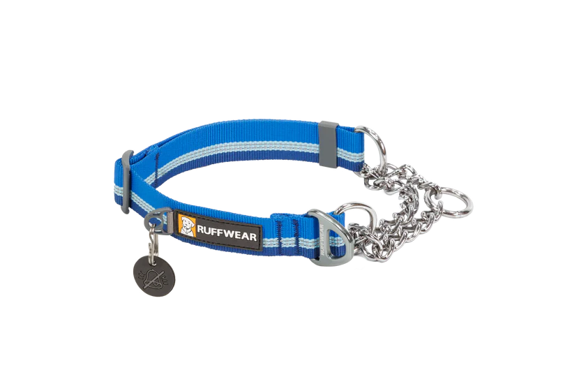 Chain Reaction Martingale Dog Collar