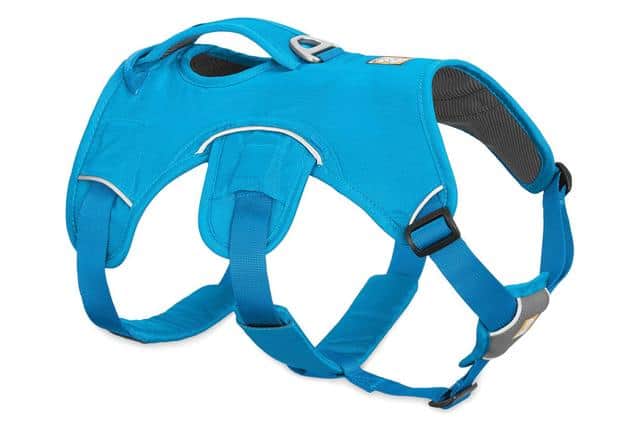 Ruffwear WebMaster Harnais