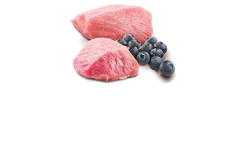 FARMINA ND Prime Agneau 70g