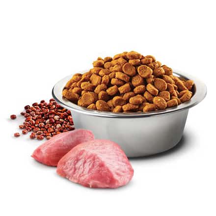 FARMINA N&D Quinoa Dog Digestion Lamb