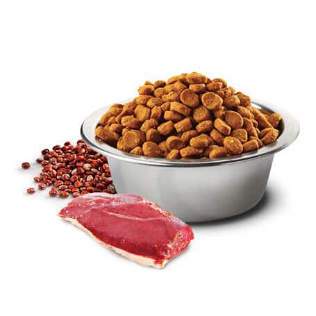 FARMINA N&D Quinoa Dog Skin & Coat Duck & Coconut
