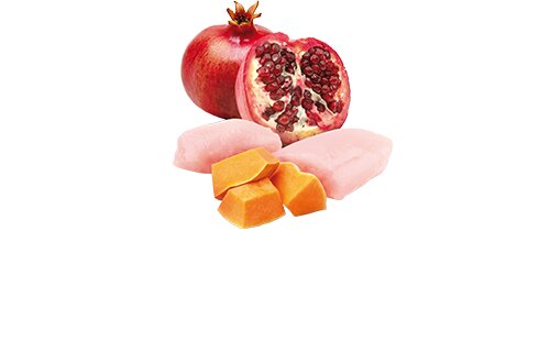 FARMINA ND Potiron Poulet 80g