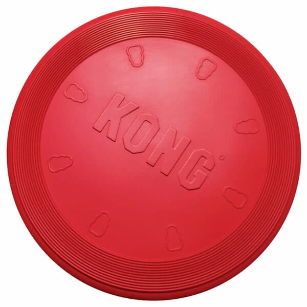 KONG Frisbee Flyer