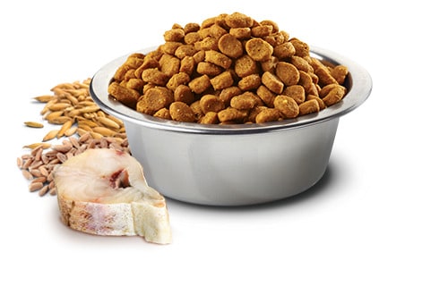 FARMINA ND Ocean Chat Cabillaud Epeautre