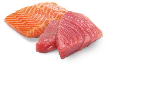 Farmina ND Ocean Thon &amp; Salmon 70g
