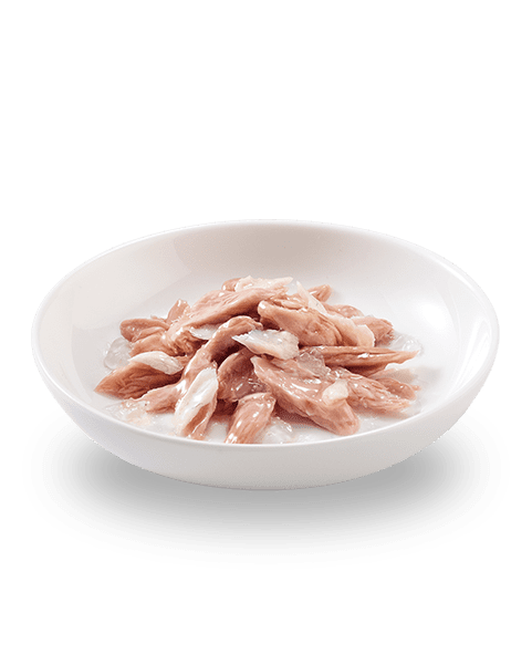 SCHESIR Pouch Tuna and Hake in Jelly 85g