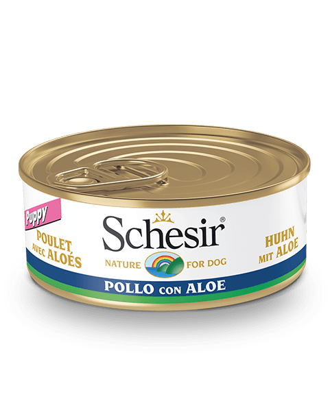 SCHESIR Boîte Gelée Chaton Poulet Aloés 85g Aliment Complémentaire
