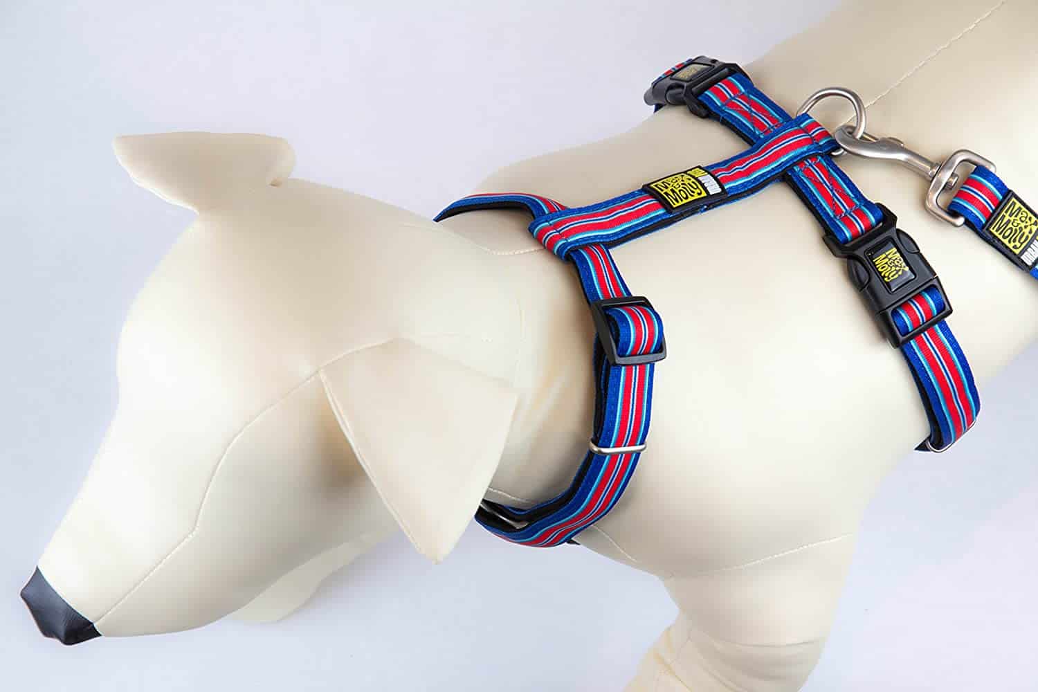 MAX & MOLLY Harnais en H Chien Bleu et Rouge