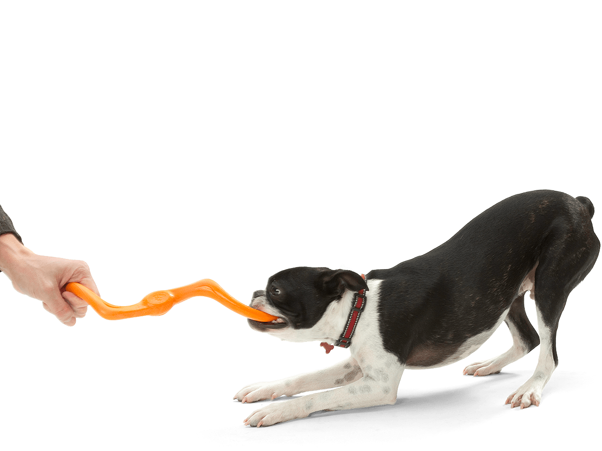 WESTPAW Zogoflex Bumi