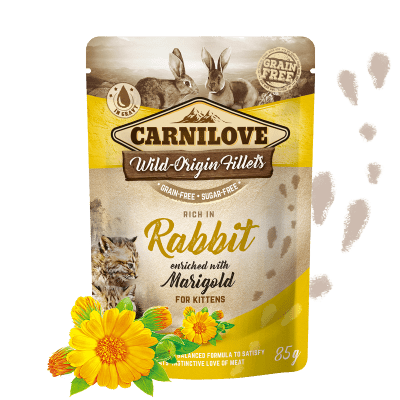 CARNILOVE Kitten Rabbit