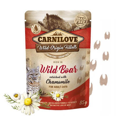 CARNILOVE Wild Boar 85g