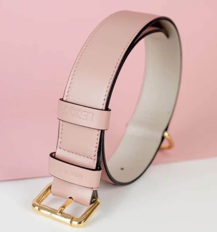 ASTRE PARIS Le Monceau - Collier Chien Cuir Rose