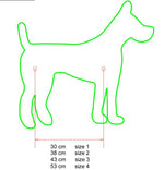 DESIGN K9 TAXI Dog Harness