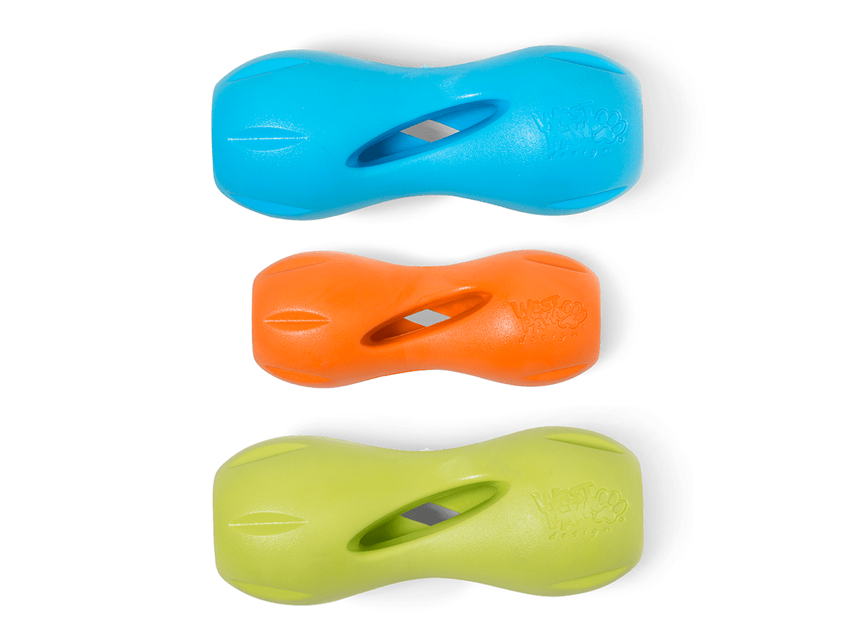 WESTPAW Zogoflex Qwizl