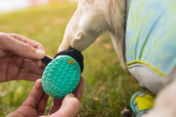RUFFWEAR Grip Trex Vert
