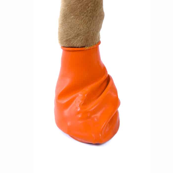 PawZ Dog Boots 12x XS Orange