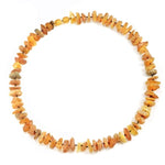 AMBERDOG Chien Collier d’Ambre jaune "Soleil"