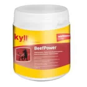 KYLI Beefpower