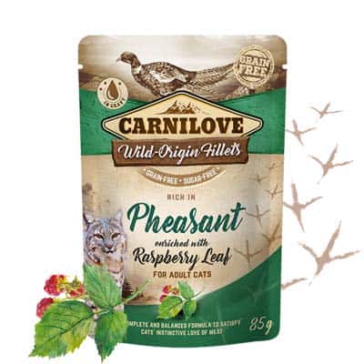 CARNILOVE Pheasant 85g