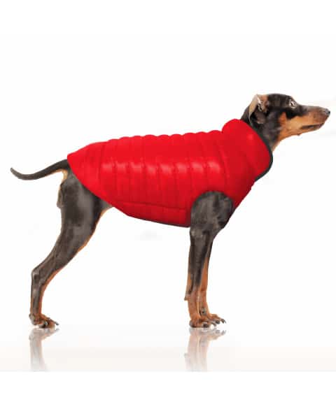 MILK &amp; PEPPER Arctik Doudoune Réversible Rouge/Anthracite