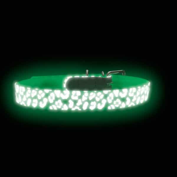 HUNTER Collier Convenience Reflect Glow
