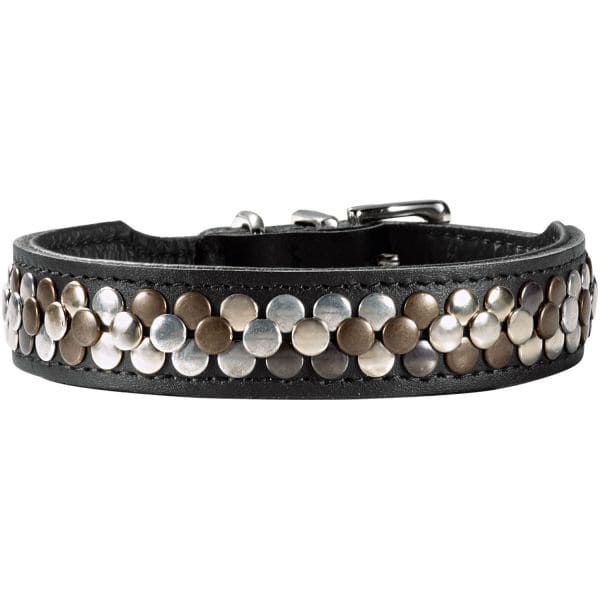 HUNTER Collier Arizona Up