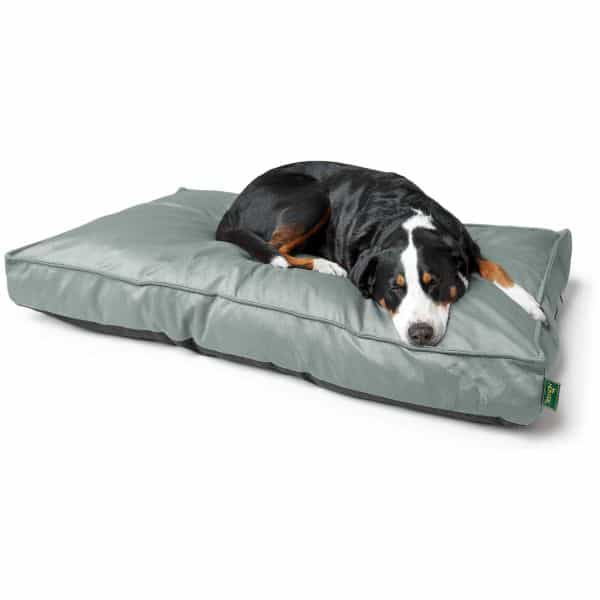 HUNTER Merida Coussin Orthopédique pour Chien