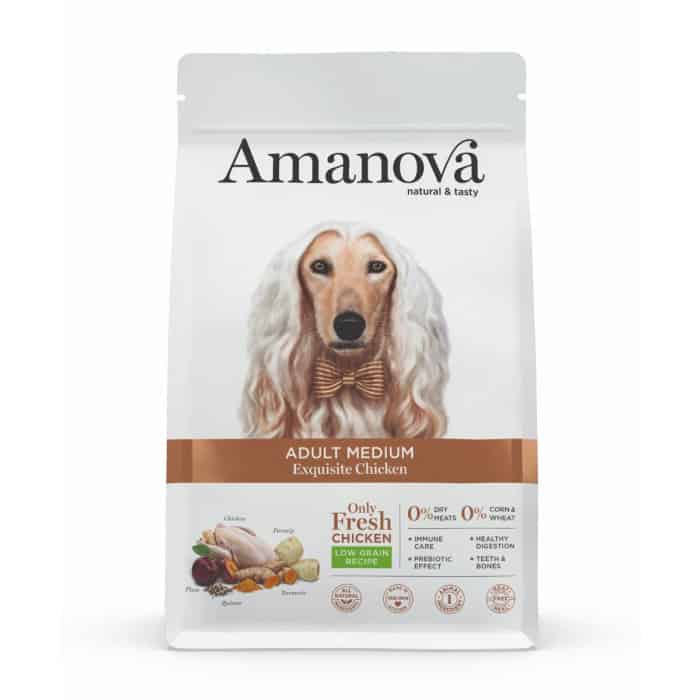 Amanova Adult Meduim Exquisite Chicken