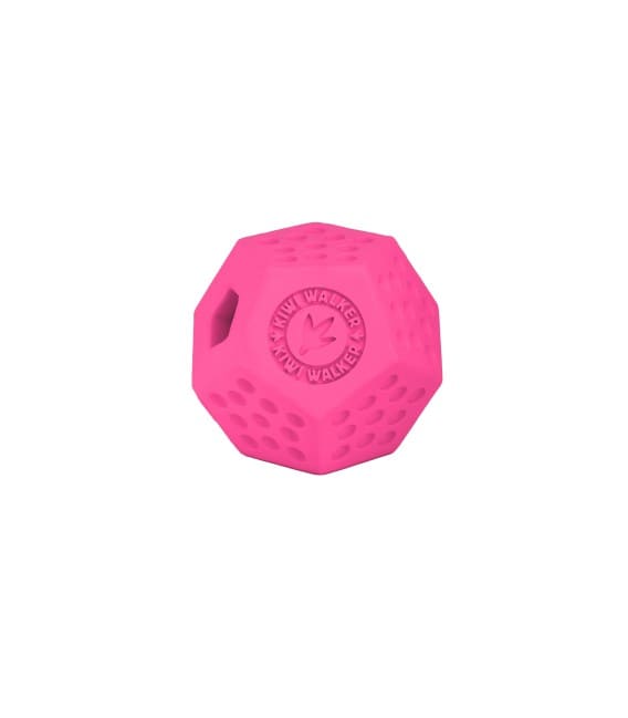KIWI Dodecaball Maxi pour chien