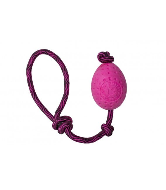 KIWI Egg Maxi pour chien