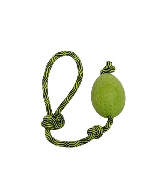 KIWI Egg Maxi pour chien