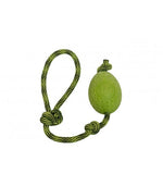 KIWI Egg Maxi pour chien
