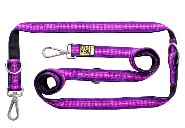 Max & Molly Laisse Chien Rose et Violet