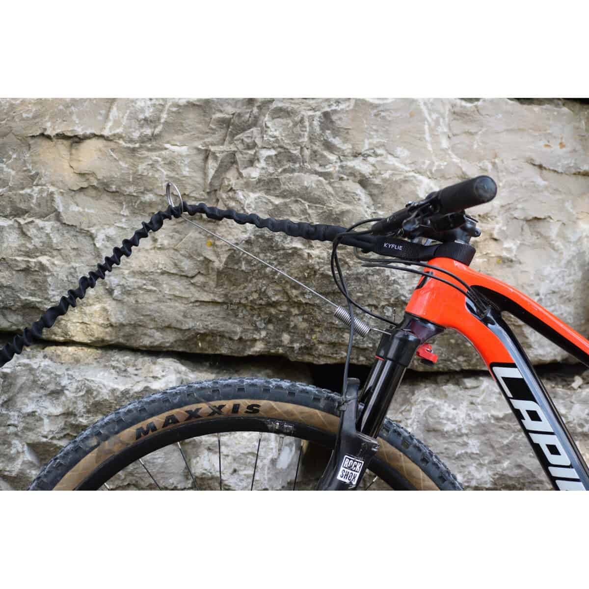 KYFLIE Barre Ludus Antenna