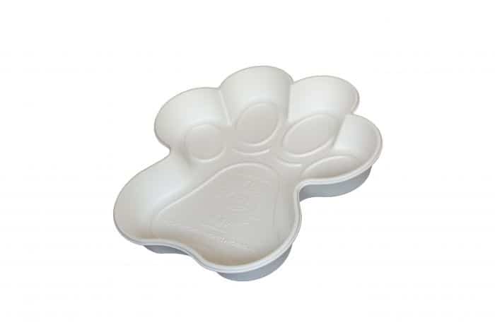 piscine chien