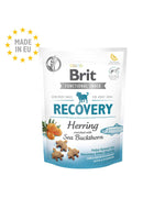 BRIT Functional Snack Recovery Hareng et Argousier