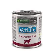 FARMINA Vet Life Chien Gastrointestinal 300g