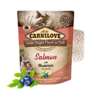 CARNILOVE Puppy Salmon 300g