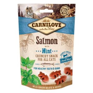 CARNILOVE Salmon Mint