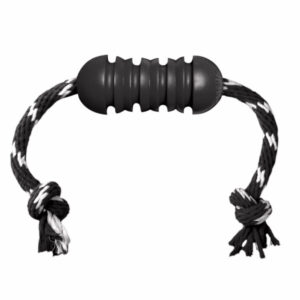 KONG Extreme Dental with Rope