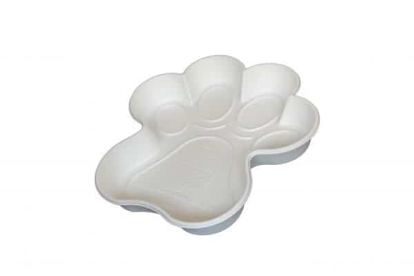 piscine chien