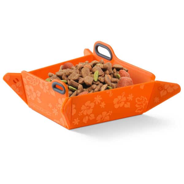 FREEZACK Foldable Bowl