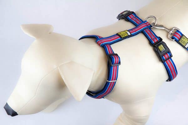 MAX & MOLLY Harnais en H Chien Bleu et Rouge