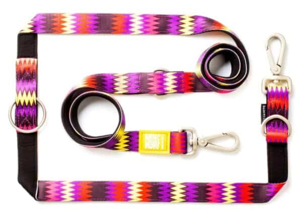 Max & Molly Laisse Chien Latte