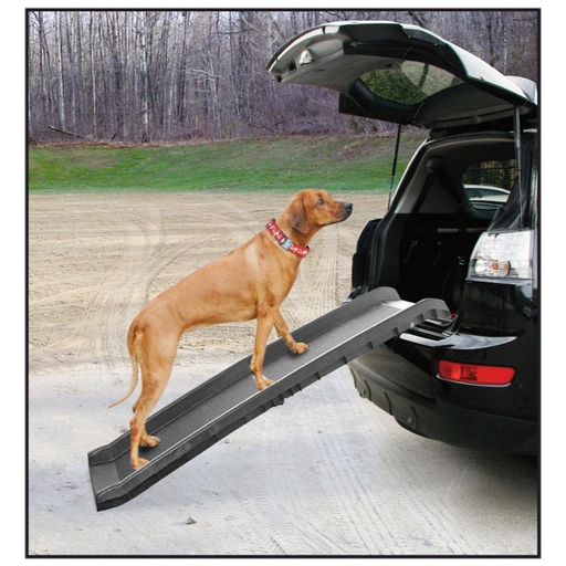 Rampe d'Auto Go In pour chiens - Petshopping