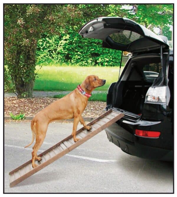 Boarding Rampe d'Auto pour Chien