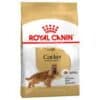 Royal Canin Cocker Adult pour chien 12kg