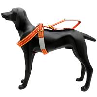 DESIGN K9 LAIT Dog Harness