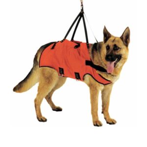 DESIGN K9 TAXI Dog Harness